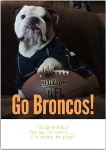 Football Card