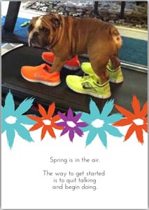 Spring Card