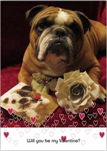Valentine's Day Card