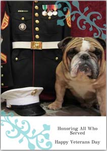 Veteran's Day